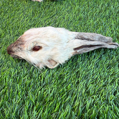 Rabbit Head (Whole) - Dehydrated for Dogs
