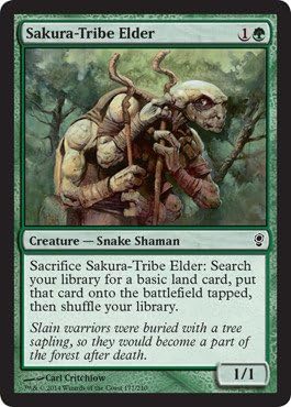 Magic The Gathering - Sakura-Tribe Elder (177) - Conspiracy