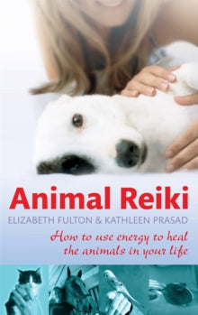 Animal Reiki: How to use energy to heal the animals in your life - Elizabeth Fulton; Kathleen Prasad (Paperback) 01-07-2010