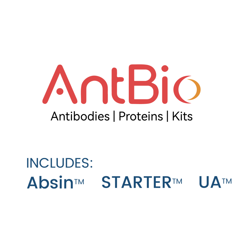 BST2 Recombinant Rabbit mAb (S-1950-247)