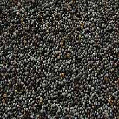 Seeds Poppy Seeds (1x5LB )