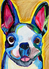 Boston Terrier - Art Prints