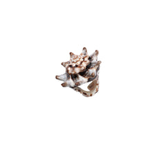 Birk Shell Ring