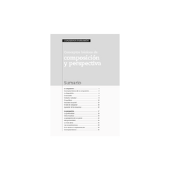 CONCEPTOS BASICOS DE COMPOSICION Y PERSPECTIVA