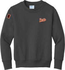 Biggby Coffee AAA Youth Core Fleece Crewneck Sweatshirt