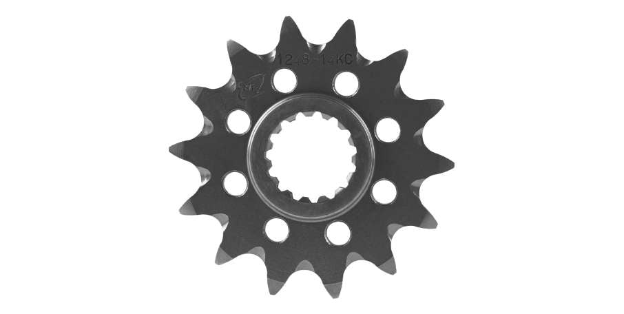 Pignone-CHT-TM-EN/MX-300-97-25-14-denti-scaricato