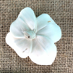 Sola Magnolia Wholesale