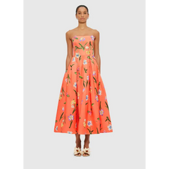 LLSS25068_Lynn-Bustier-Midi-Dress_Wild-Flower-in-Coral_1_5e003d26-38a3-46eb-bb71-8e8d63553e48 (1)