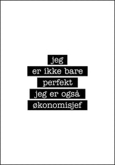 Økonomisjef - Jeg er ikke bare perfekt Plakat - Plakatbar.no