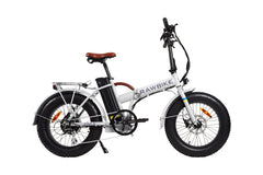 Elcykel RAWBIKE 250 E Snowstorm (begagnad)