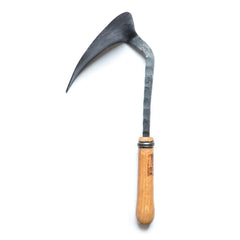 Master Shin's Anvil