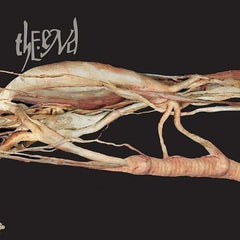 End, The - Transfer Trachea Reverberation from Point...