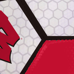 Wisconsin Soccer Ball - Logo Brands