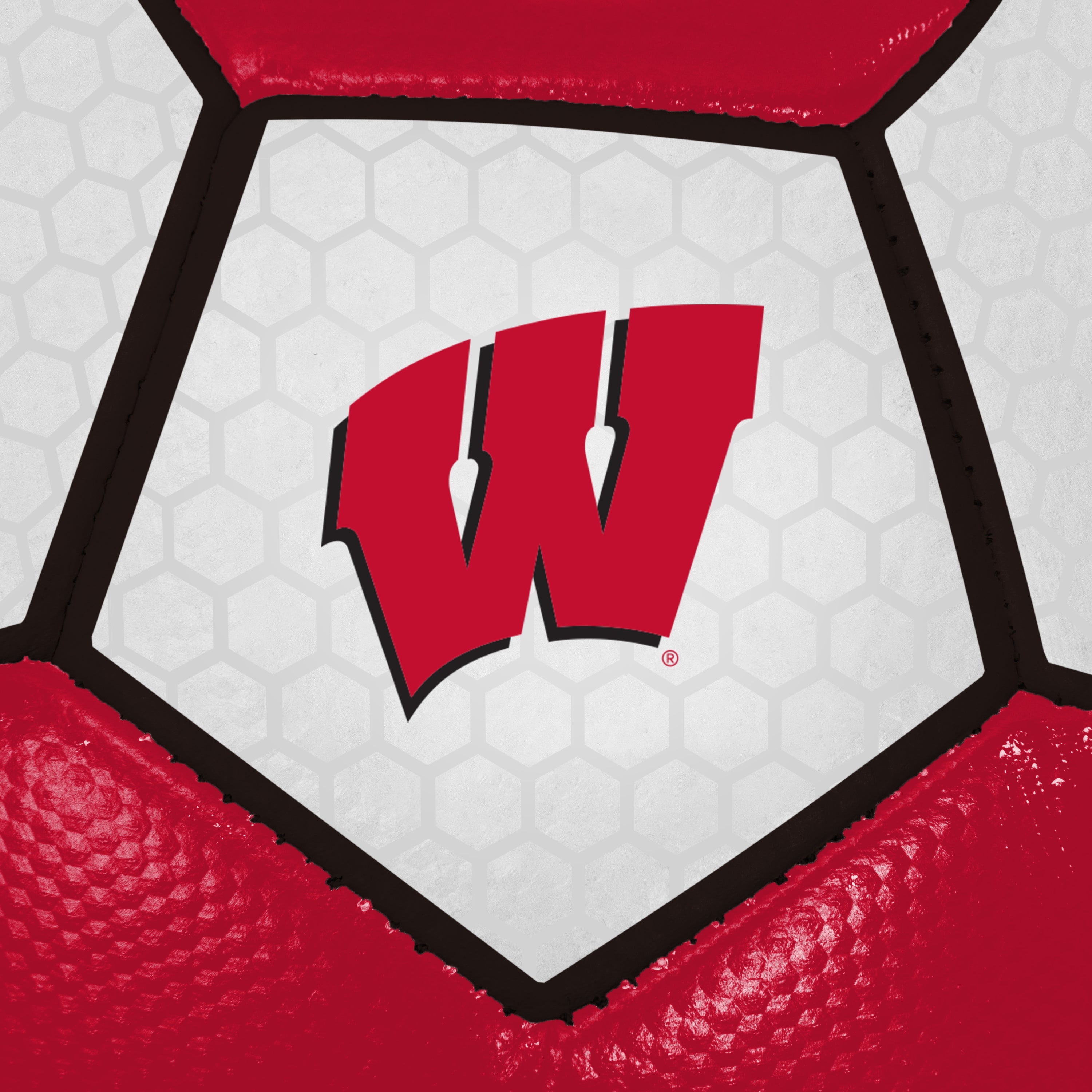 Wisconsin Soccer Ball - Logo Brands