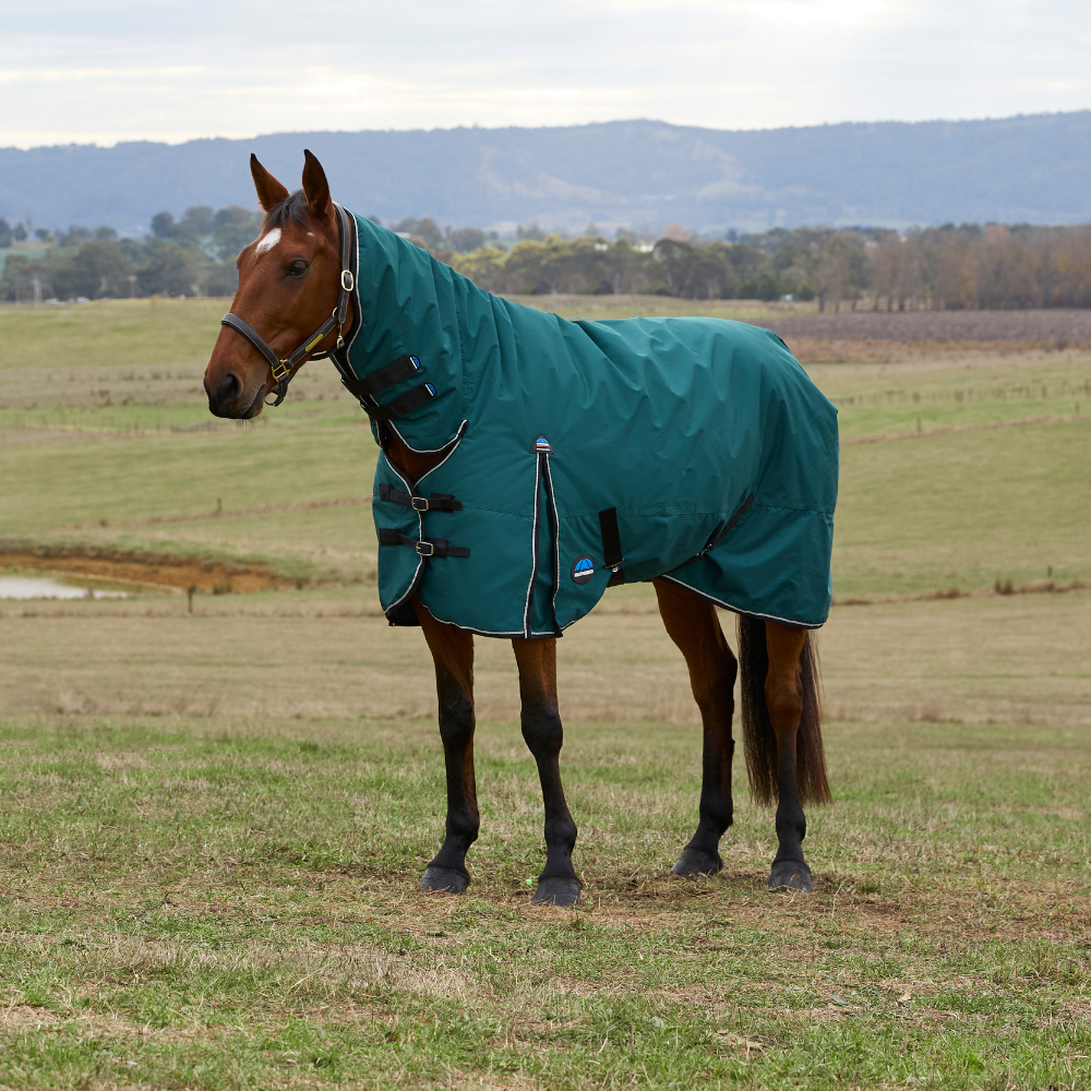 Weatherbeeta Comfitec Classic 50G Combo Turnout #colour_forest-green-black