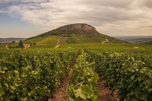 domaine