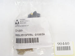 TER PRSL0513PI/SL / 010659 / Neu OVP - Maranos.de