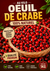 Œil de Crabe – 1 kg | Protection spirituelle & usages traditionnels