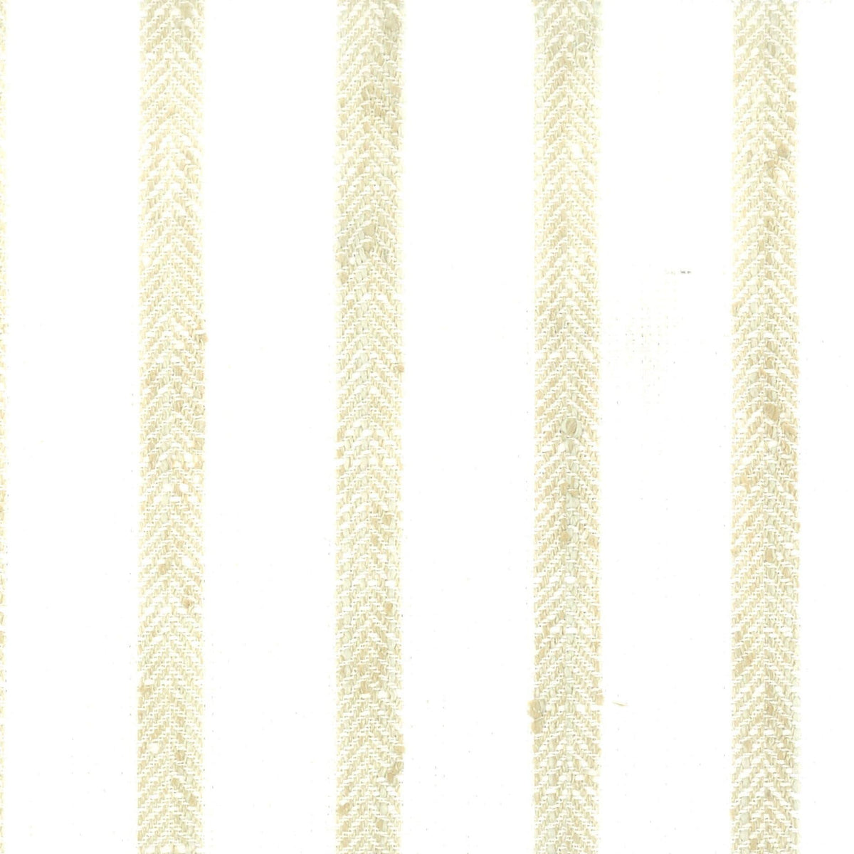 Stout TIMOTHY TOAST Fabric