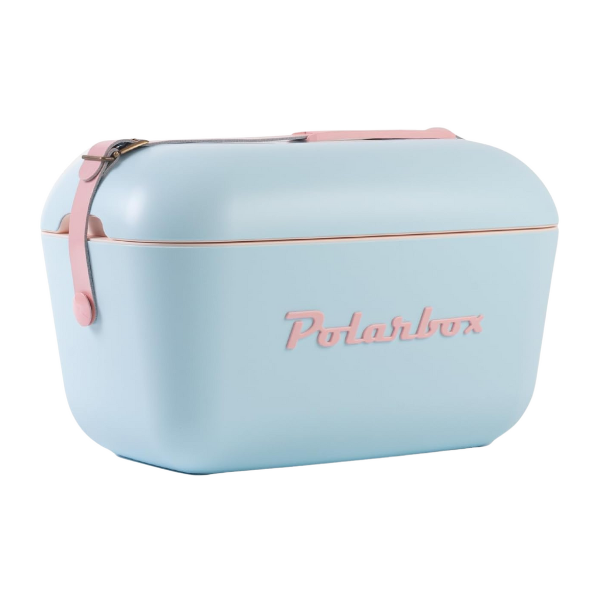 Polarbox Cooler Retro Beach Cooler Vintage Picnic Lunch Box Bag (Sky Blue Rose)
