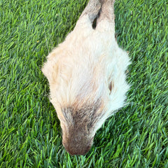 Rabbit Head (Whole) - Dehydrated for Dogs