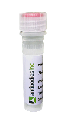 Anti-CA19-9/Sialyl Lewis A (sLeA) Antibody FL550 Conjugate