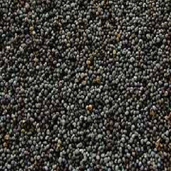 Seeds Poppy Seeds (1x5LB )