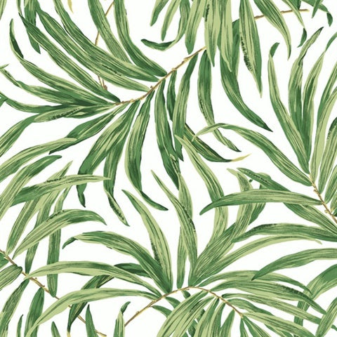 Illustration of lush, overlapping green palm leaves on a white background, reminiscent of the Green Bali Leaves Wallpaper by York Wallcoverings, creating a contemporary and vibrant pattern that embodies nature-inspired design.
