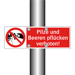Pilze und Beeren pflücken verboten!