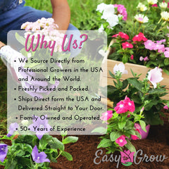 why buy statements from easy to grow