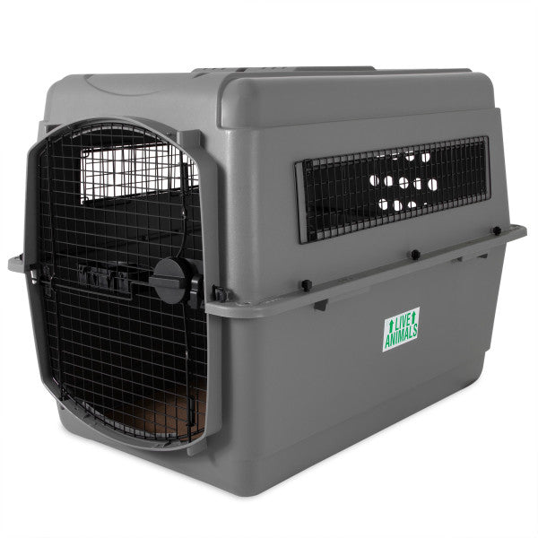 Photo du produit de référence : PKS7I008
