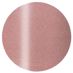 Presto Color Gel S386 [10g] [Bottle] [Rebranded]