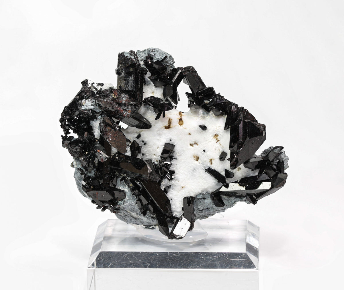 Neptunit