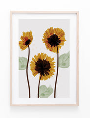 Sunflower II