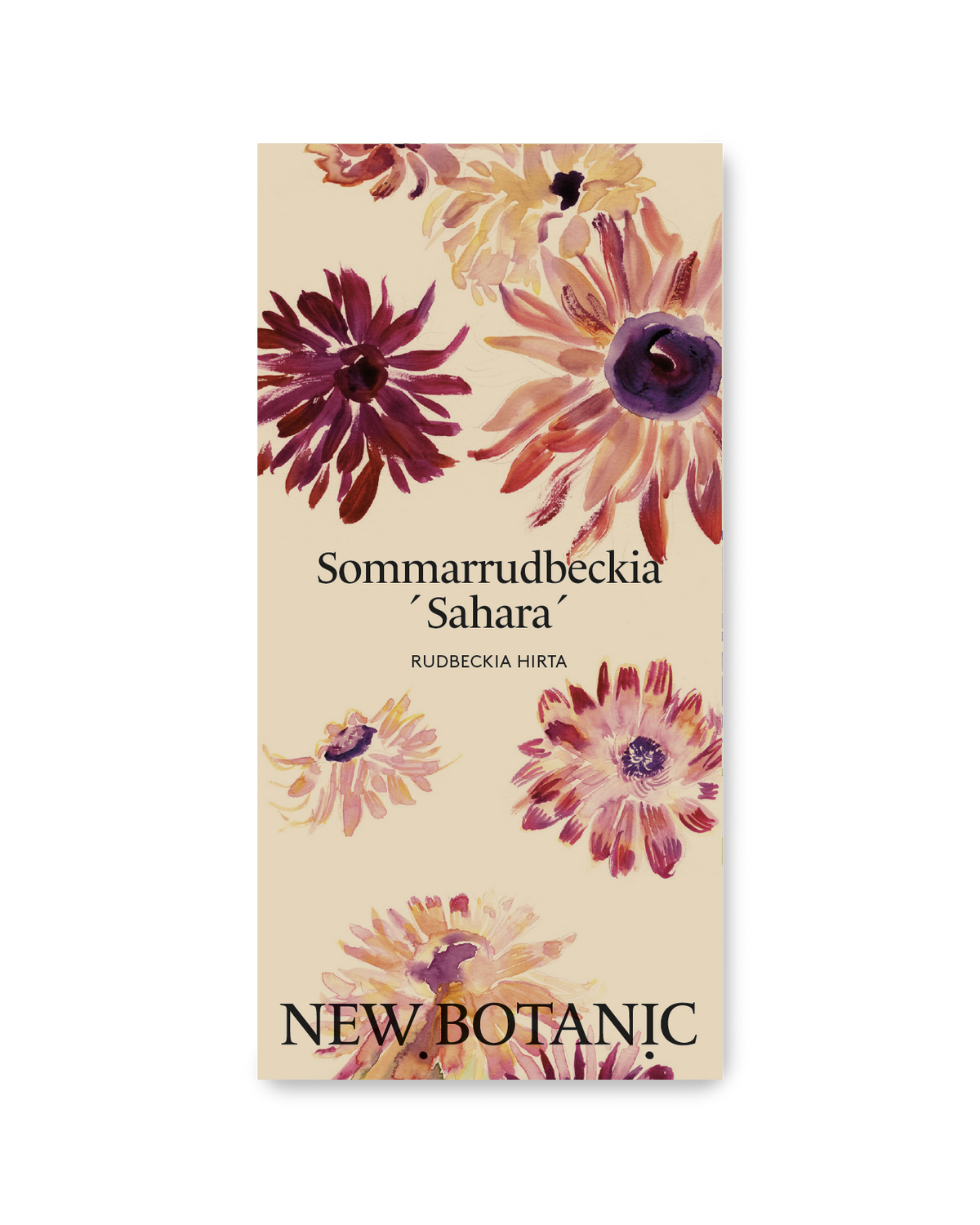 Sommarrudbeckia  ´Sahara´