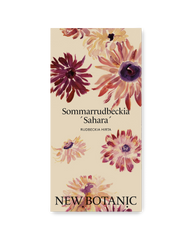 Sommarrudbeckia  ´Sahara´