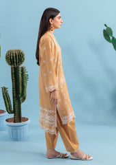 Beige-Cambric-2 Piece (W25DE2037)