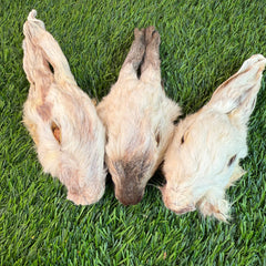 Rabbit Head (Whole) - Dehydrated for Dogs