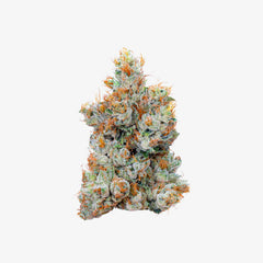 haze exotics gold reserve thc-a flower lemon dock 3.5 gram jar detail