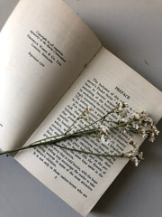 Observer Book of Butterflies