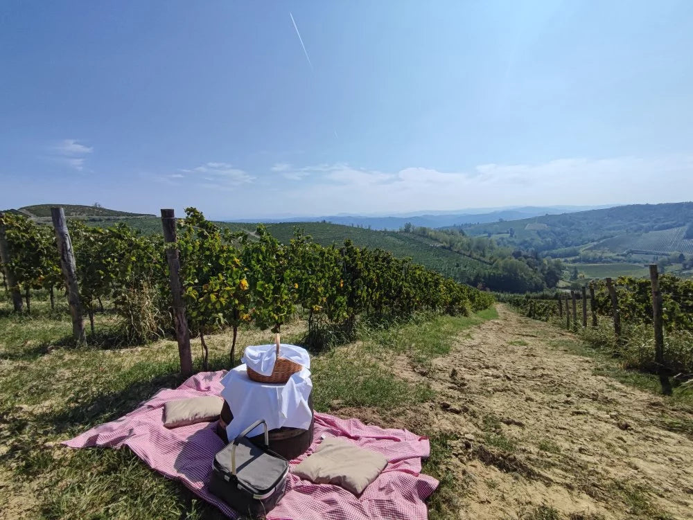 Oddone Prati - Degustazione classica Piemonte Oddone Prati