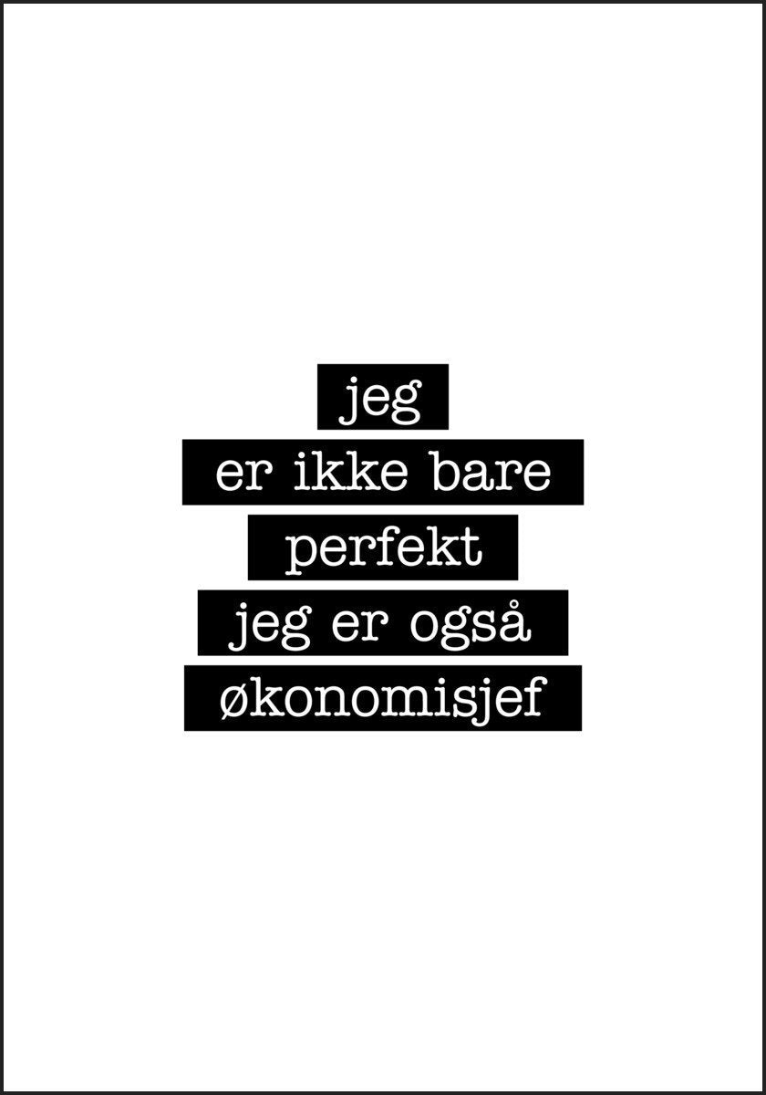 Økonomisjef - Jeg er ikke bare perfekt Plakat - Plakatbar.no