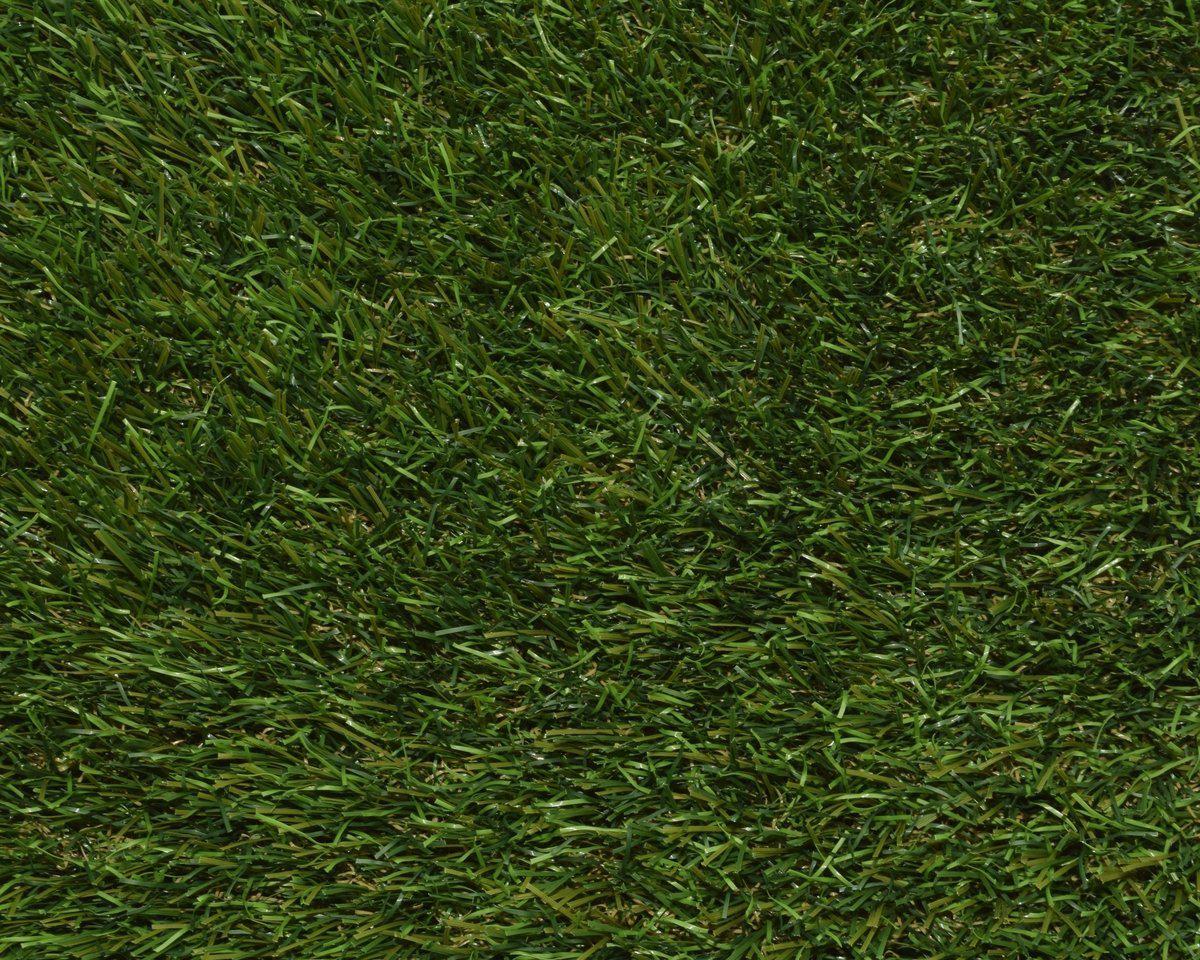 Olympia XTREME 43mmm Artificial Grass Fibres