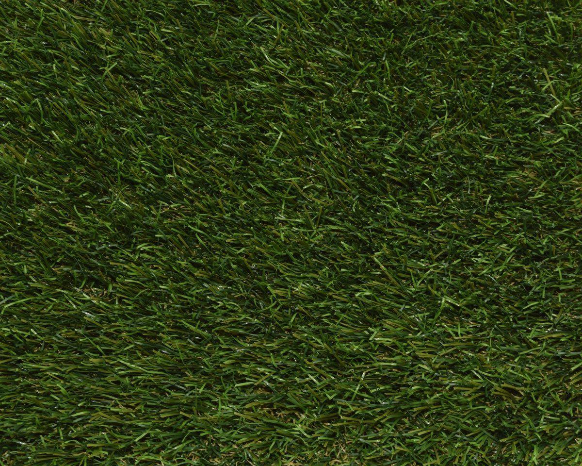 Olympia XTREME 43mmm Artificial Grass Sample Square