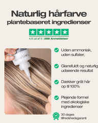 Ebony 2.3 + Shampoo
