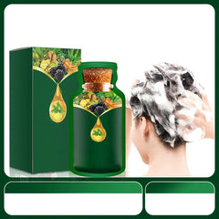 🔥KOOP 1 KRIJG 1 GRATIS🔥Zachte, plantaardige haarverf voor snel gebruik