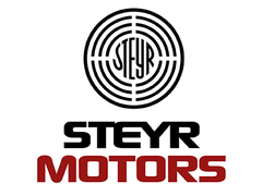 Steyr RIEMENSCHEIBE ROHWASSERPUMPE