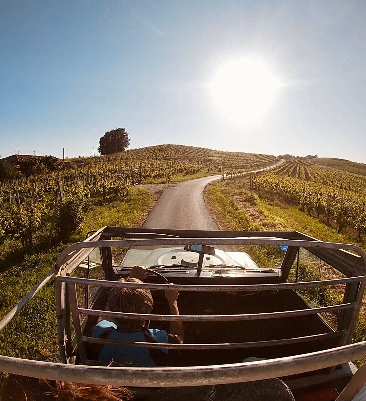 Oddone Prati - Degustazione classica Piemonte Oddone Prati