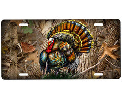 Turkey License Plate
